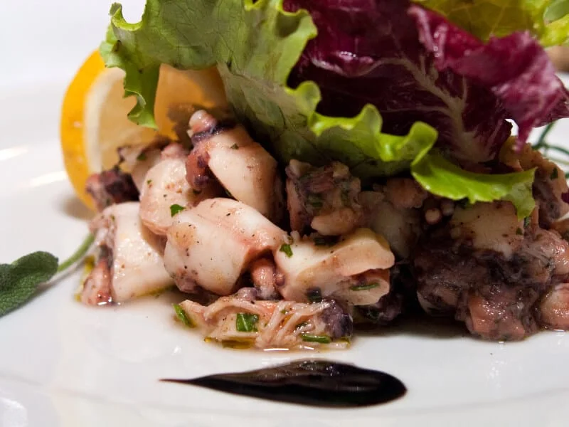 Octopus salad served as an appetizer