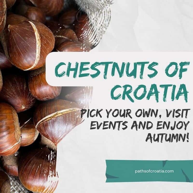 Roasted chestnuts in the background and text "chestnuts of Croatia, Pick your own, Visit events and Enjoy autumn!"